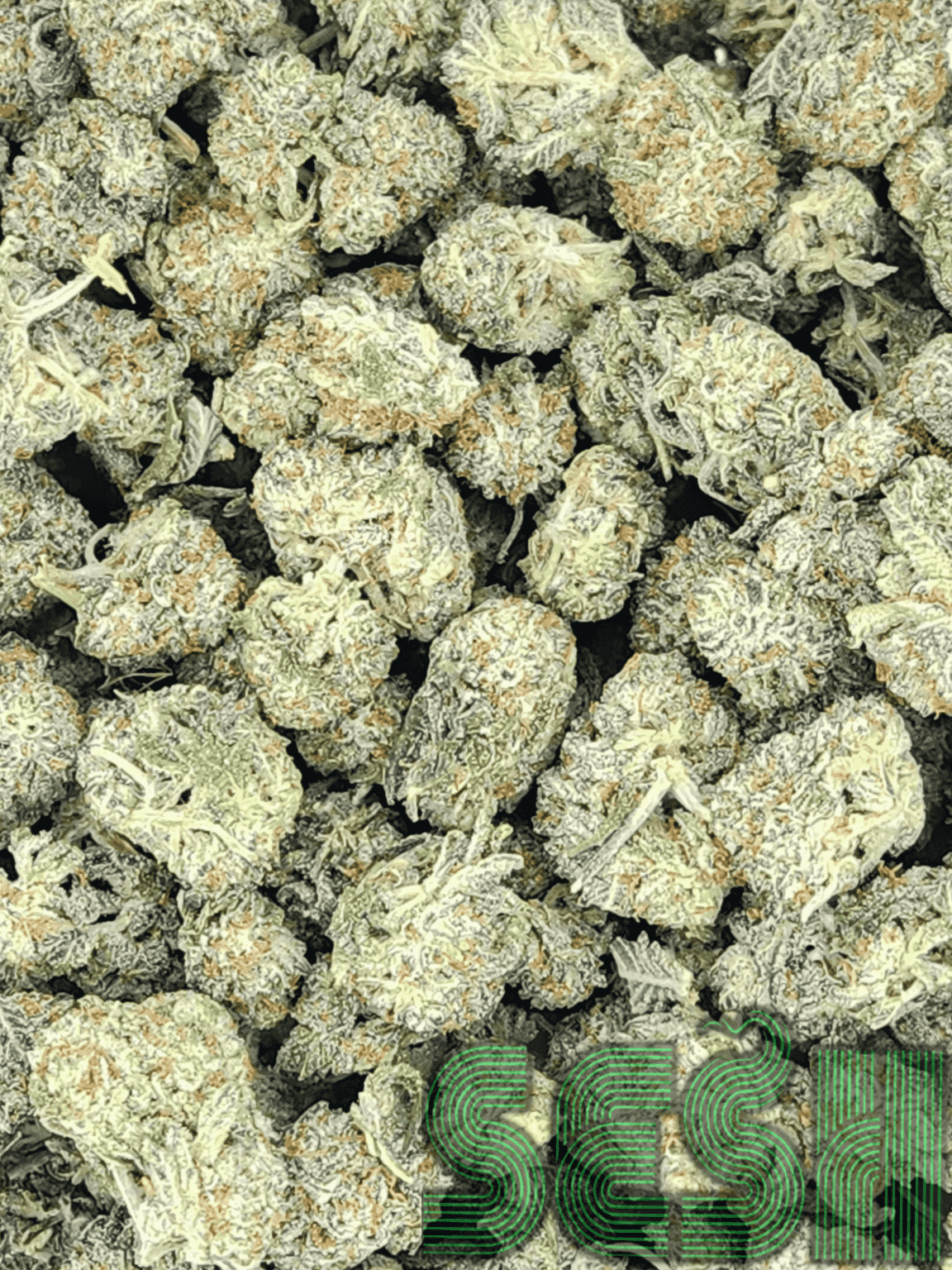 SWEET AMNESIA (AAA)