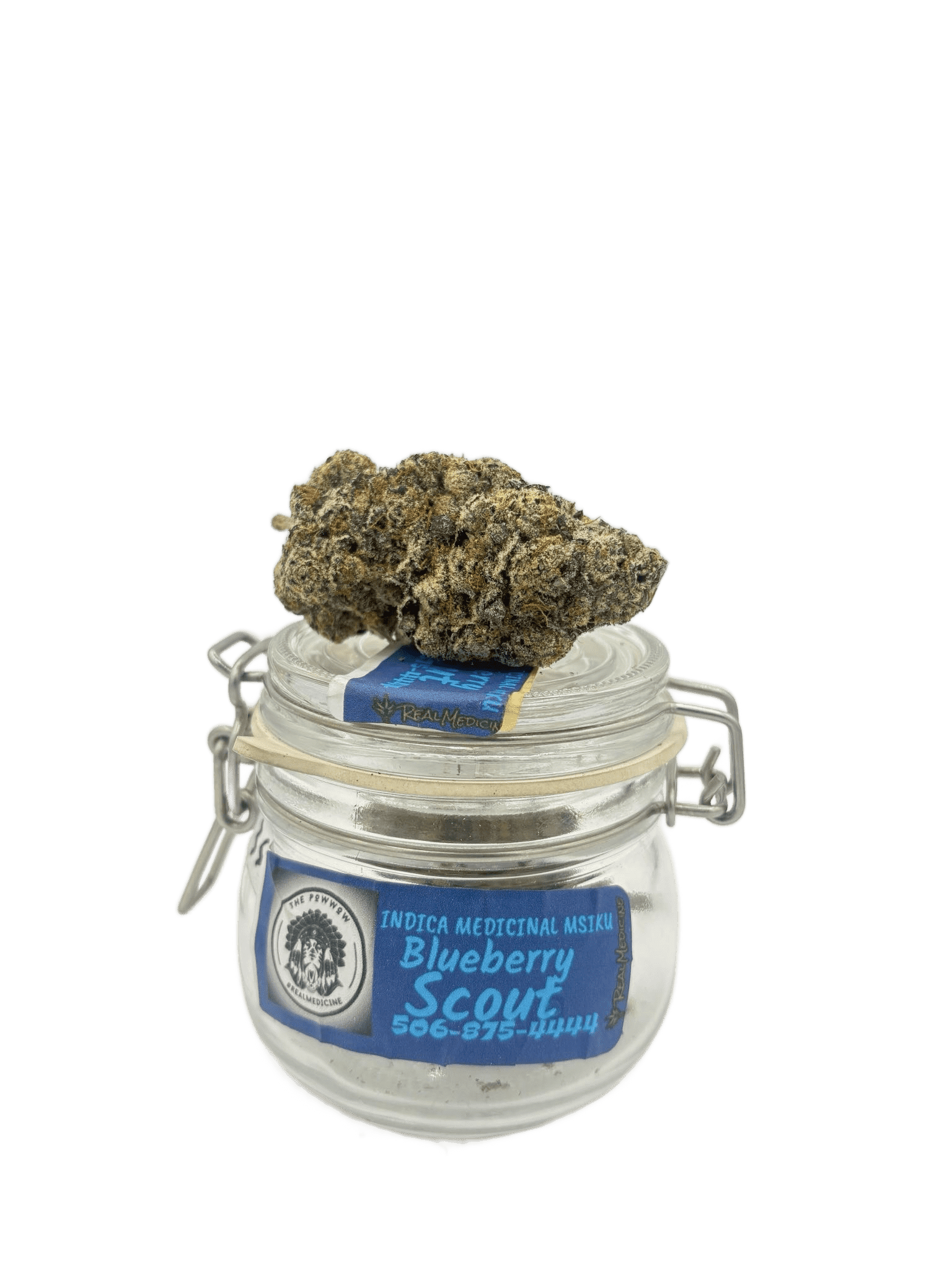BLUEBERRY SCOUT (PW)